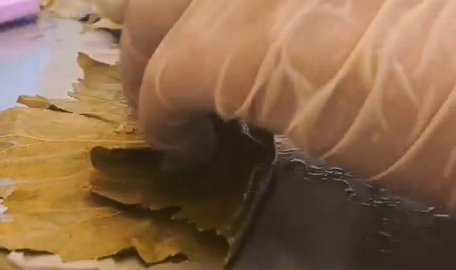 MEMLEKET SEVGİSİ ISTİHDAMA DÖNÜŞTÜ